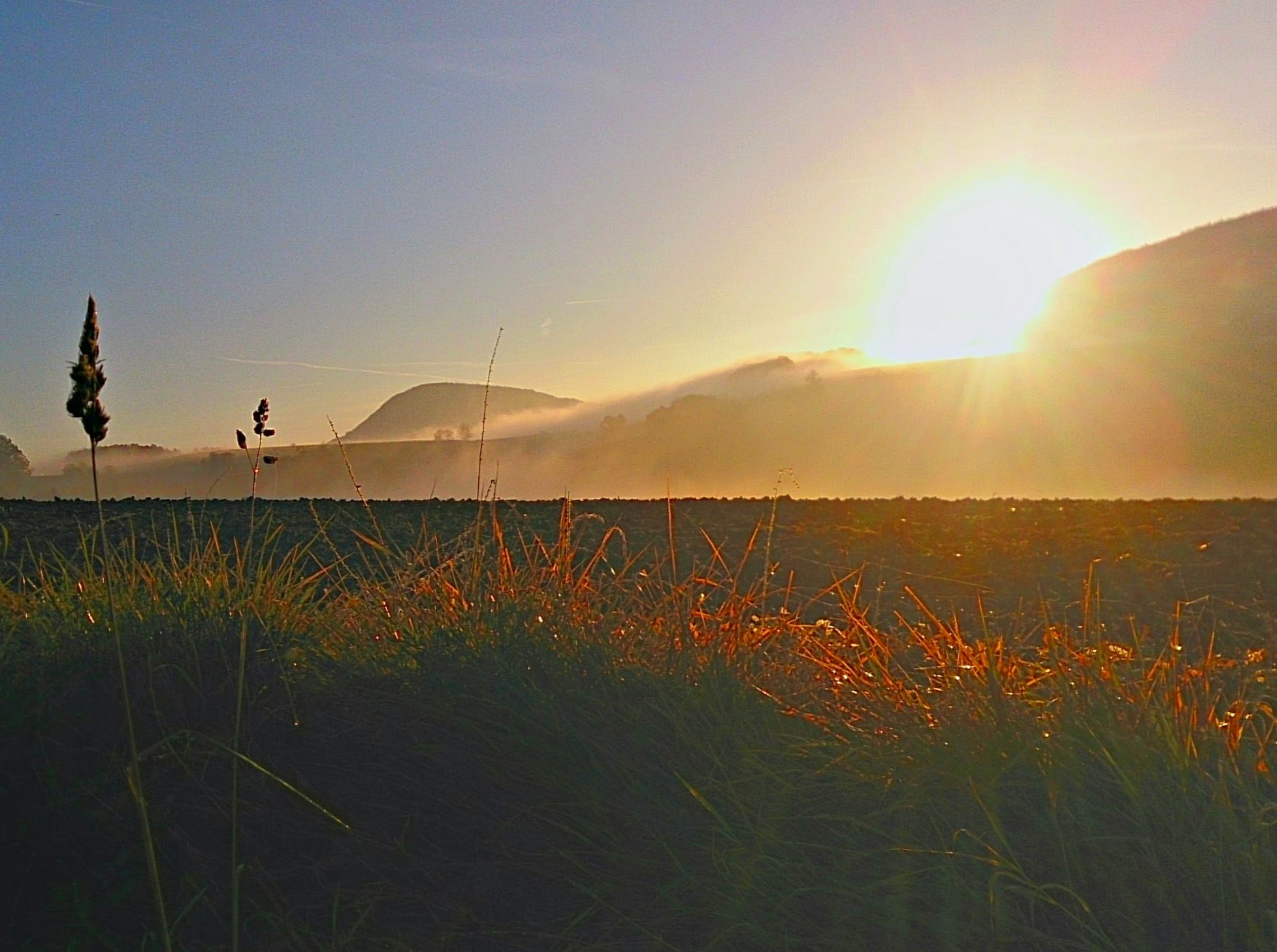 Landschaft im Fricktal